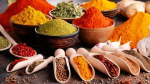 Wholesale Spices & Herbs: Organic Herbs and Spices
