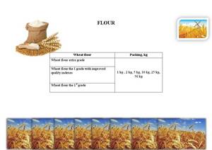 Wholesale payment: Wheat Flour