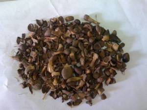 Wholesale n: Palm Kernel Shell for Sale