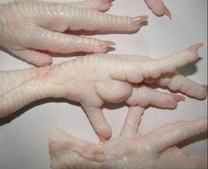 Wholesale others: Frozen Chicken Feet for Sale