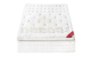 Wholesale 24 inch waterproof machin: Dream Pillow Top Mattress