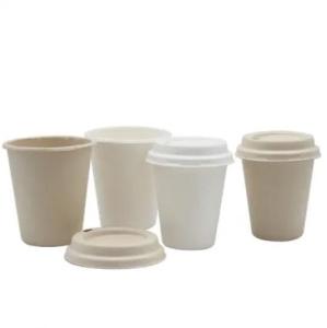 Wholesale health drink: Bagasse Coffee Cups