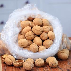 Wholesale in shell walnut: Dried Walnuts in Thin Shell