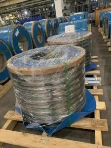 Wholesale sanitary ware: 0.18mm 304 Stainless Steel Strips Spring Coil