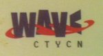 Shishi Waves Garment Co., Ltd. Company Logo