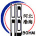 Cangzhou Shengtai Pipeline Co.,Ltd Company Logo