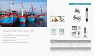 Wholesale LED Lamps: LED Fishing Lamp