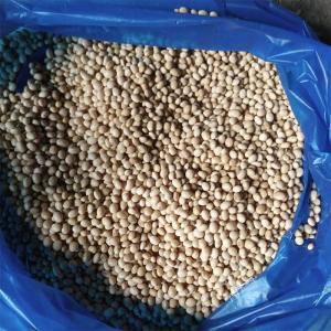 Wholesale natural products: Hilum Soy Beans Certified Organic and Non-GMO Soybean