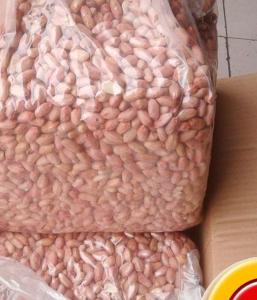 Wholesale packing box: Peanut Bold and Savory, Raw Wholesale Bulk Peanuts From USA
