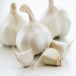 Wholesale white garlic: Wholesale Price Fresh Garlic White Garlic Normal White Garlic
