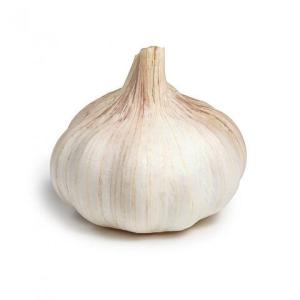 Wholesale white garlic: Wholesale Price Fresh Garlic White Garlic Normal White Garlic