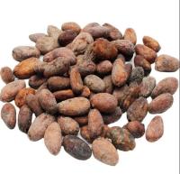 Buy Dried Cocoa Beans in 50kg Bags,Organic Roasted Cacao Beans,Sun Dried Raw Cocoa Beans for Sale