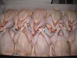 Wholesale frozen pork parts: Halal Frozen Chicken and Chicken Parts