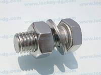 Stainless Bolt with Nut and Washer