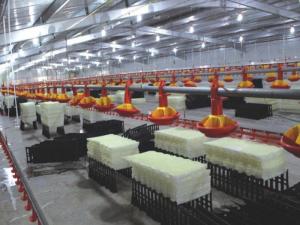 Wholesale water well level sensors: Prefabricated Steel Structure Broiler House for Poultry Shed  Cage Layer Chicken House China