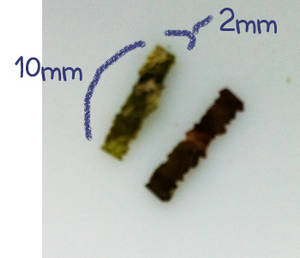 Wholesale laver: Korea Seaweed Dried Laver Flake High Quality Laver