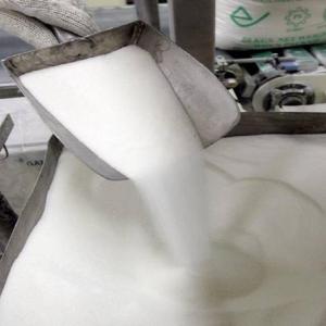 Wholesale bacillus: White Sugar Icumsa 45 Brazil Cane Sugar