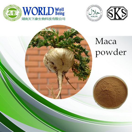 China Supply Maca Root Extract Powder For Herbal Sex Improvement Powder 