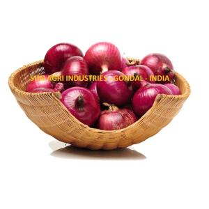 Wholesale bulb: Onion