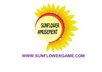 Sunflower Amusement Equipment Co., Ltd Company Logo