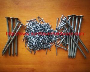 Wholesale wire nail: Common Round Wire Nails
