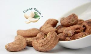 Wholesale express: Salted Roasted Cashew Nut - Very Crunchy and Nutrition - High Quality From Viet Nam (Great Farm)