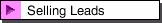 Selling Leads
