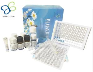 Wholesale elisa kits: Human Endothelin 1,ET-1 ELISA Kit (SL0651Hu)