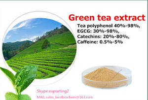 Wholesale green tea extracts: Green Tea Extract Powder