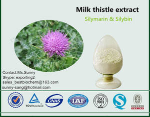 Wholesale silybum marianum: Plant Extract Silymarin