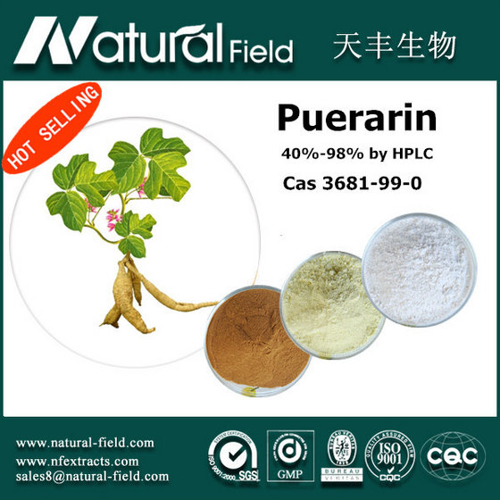 ISO&HACCP Supplier of Puerarin Powder