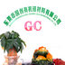 Dongguan Guochuang Organic Silicone Material CO.,LTD Company Logo