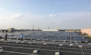 Wholesale specialized: Solar Panels