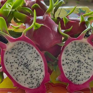 Wholesale fruit container: Fresh Dragon Fruit From Vietnam