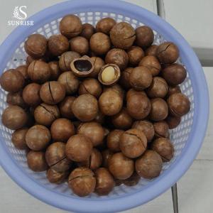Wholesale inspection: Macadamia Nuts