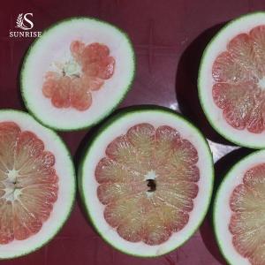 Wholesale wrapping: Pink Pomelo From Vietnam
