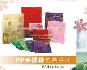 Wholesale pp bag: Eco-friendly Plastic PP Hand Gift Bag