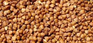 Wholesale roasted buckwheat kernel: Roasted Buckwheat Kernel