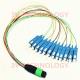 Sell MTP Patch Cable