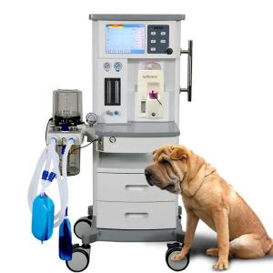 Wholesale ventilator: Superstar ISO13485 Approved Veterinary Anesthesia Machine with Ventilator