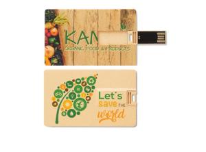 Wholesale card usb: Eco Card USB Flash Drive