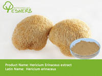 Sell Hericium Erinaceus Powder