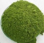 Wholesale food colour: Moringa Leaf Powder