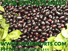 Wholesale fruit powder: Syzygium Cumini Seed Exporters