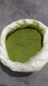 Wholesale sterilized: Moringa Leaf Powder