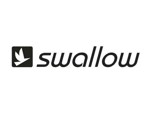 Swallow Electronics Factory