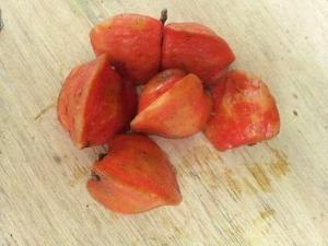 Wholesale japan: Thaumatin Arils, Katemfe Fruit