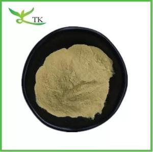 Wholesale functional cosmetic: Natural Citrus Aurantium Plant Extract Powder Hesperidin 90% Bitter Orange Extract Powder