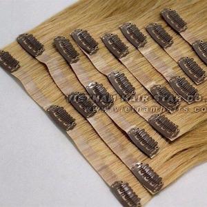 Wholesale hair clip: 100% Human Hair - PU Clip-in Hair Extensions