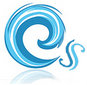 Chinsun Electron Limited Company Logo